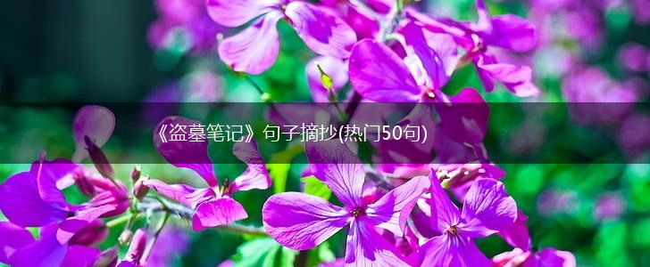《盗墓笔记》句子摘抄(热门50句),第1张