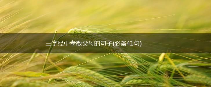三字经中孝敬父母的句子(必备41句),第1张