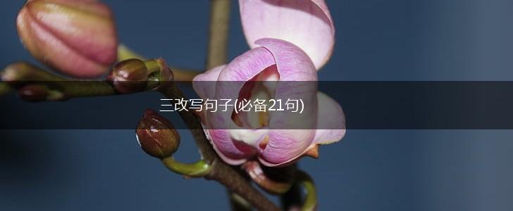 三改写句子(必备21句),第1张
