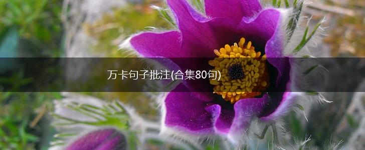 万卡句子批注(合集80句),第1张