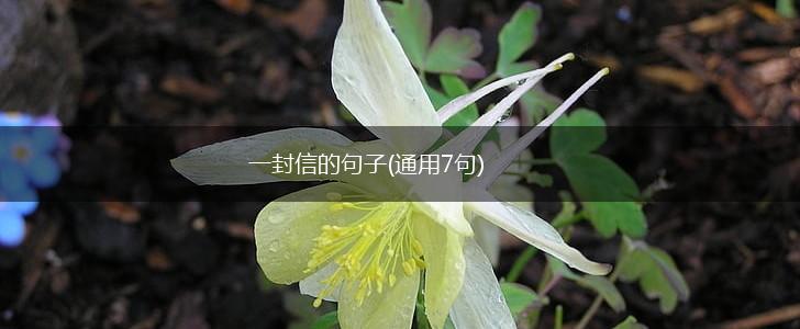 一封信的句子(通用7句),第1张