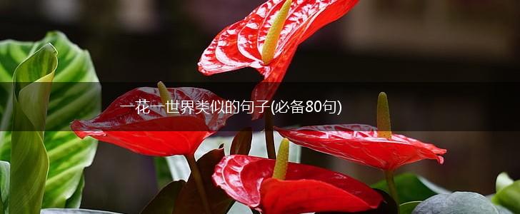 一花一世界类似的句子(必备80句),第1张