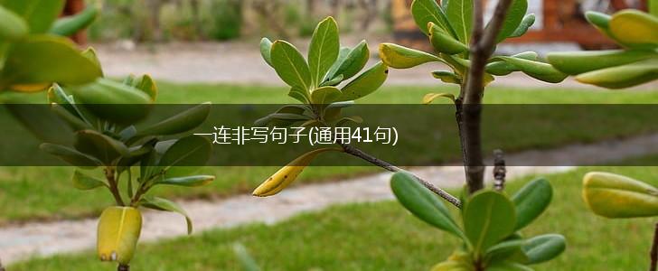 一连非写句子(通用41句),第1张