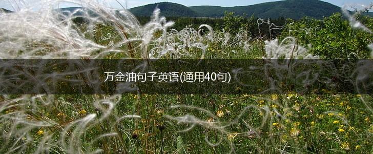 万金油句子英语(通用40句),第1张