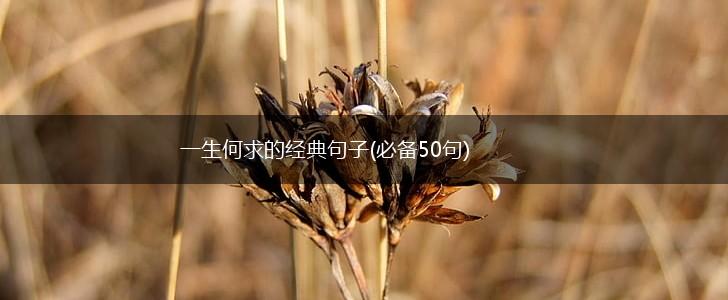 一生何求的经典句子(必备50句),第1张