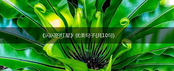 《闪闪的红星》优美句子(共10句),第1张