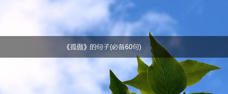 《孤傲》的句子(必备60句),第1张