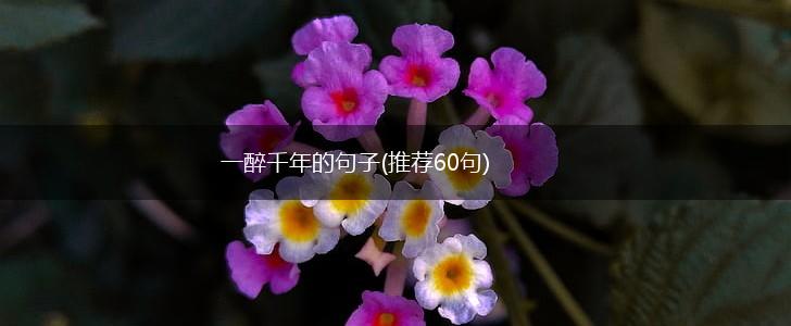一醉千年的句子(推荐60句),第1张