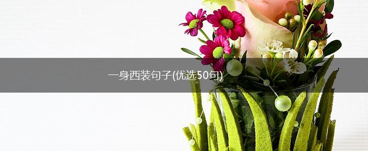 一身西装句子(优选50句),第1张