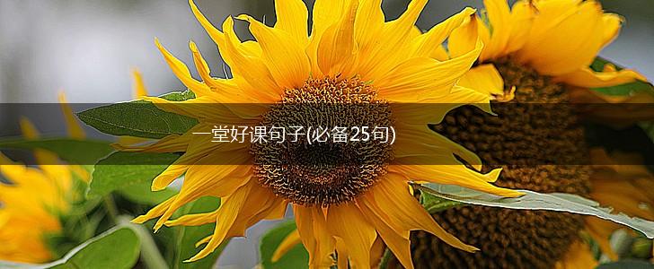 一堂好课句子(必备25句),第1张