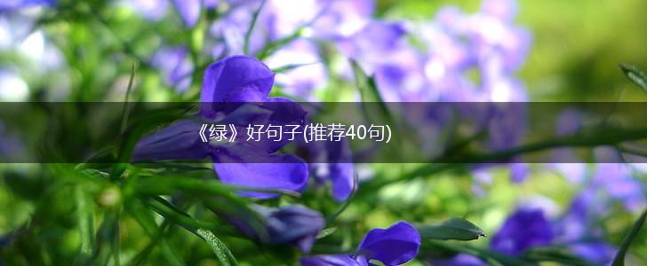 《绿》好句子(推荐40句),第1张