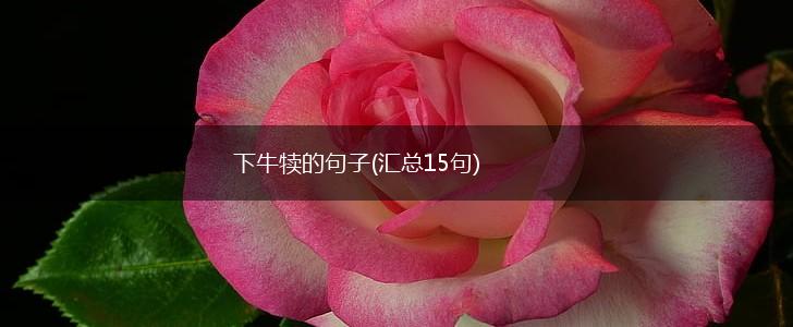下牛犊的句子(汇总15句),第1张