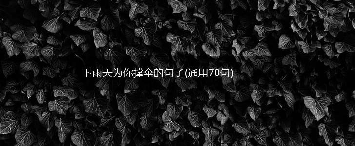 下雨天为你撑伞的句子(通用70句),第1张