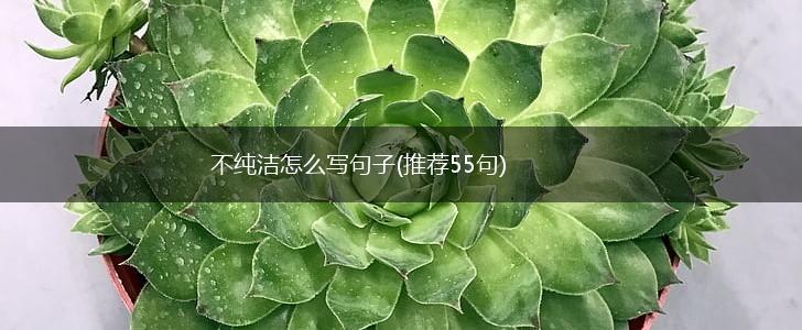 不纯洁怎么写句子(推荐55句),第1张