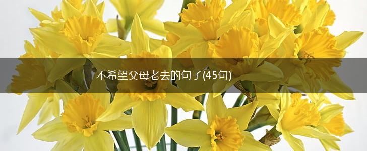 不希望父母老去的句子(45句),第1张