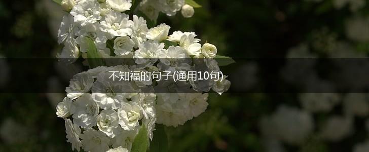 不知福的句子(通用10句),第1张