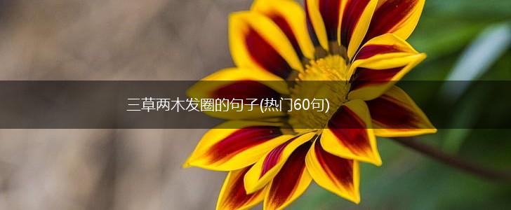 三草两木发圈的句子(热门60句),第1张