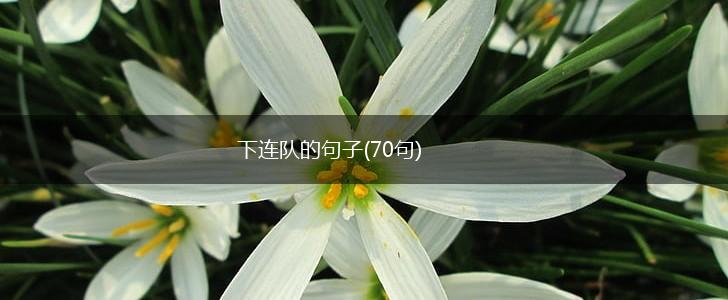 下连队的句子(70句),第1张