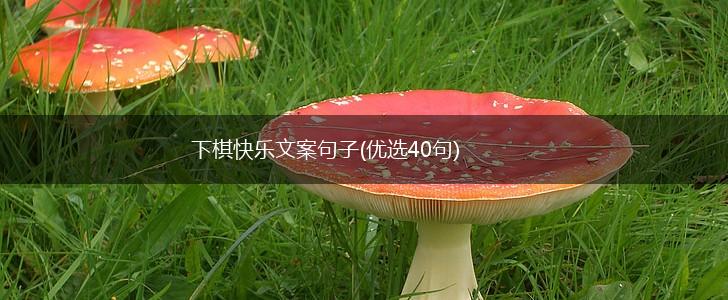 下棋快乐文案句子(优选40句),第1张 下棋快乐文案句子(优选40句),第1张