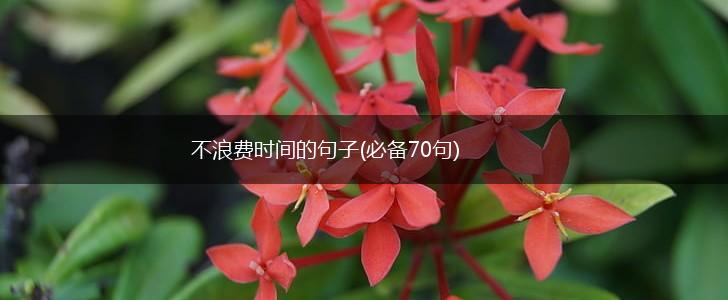 不浪费时间的句子(必备70句),第1张 不浪费时间的句子(必备70句),第1张