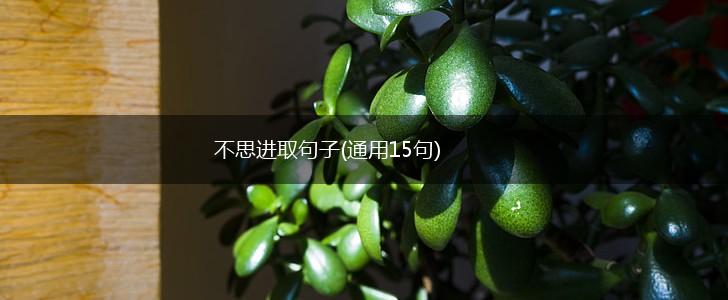 不思进取句子(通用15句),第1张
