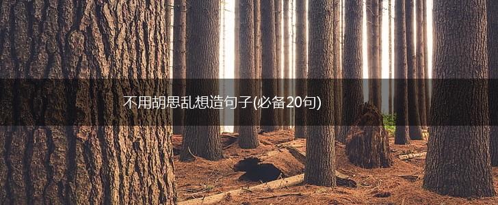 不用胡思乱想造句子(必备20句),第1张