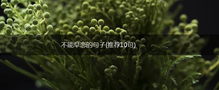 不能早恋的句子(推荐10句),第1张