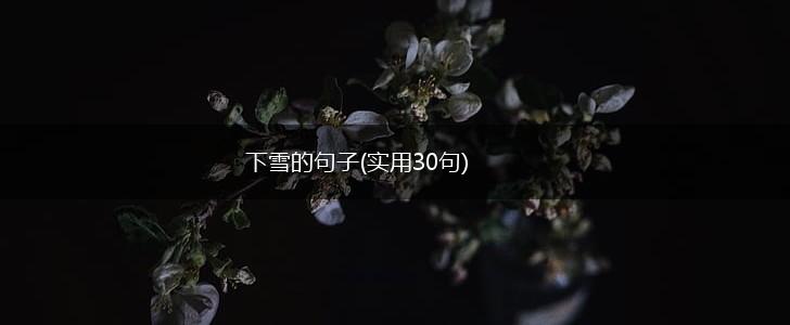 下雪的句子(实用30句),第1张