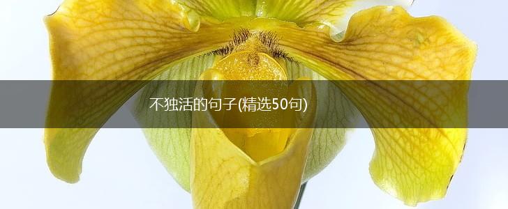 不独活的句子(精选50句),第1张