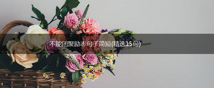 不能团聚励志句子简短(精选15句),第1张