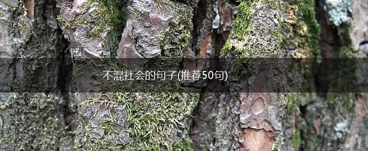 不混社会的句子(推荐50句),第1张