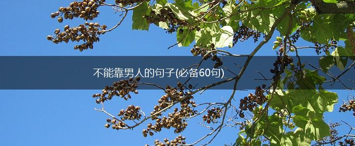 不能靠男人的句子(必备60句),第1张