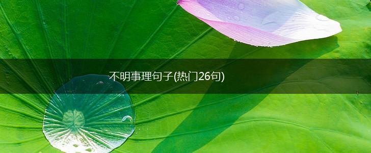 不明事理句子(热门26句),第1张