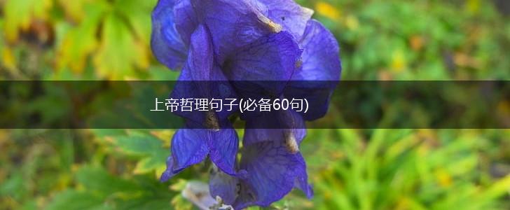 上帝哲理句子(必备60句),第1张