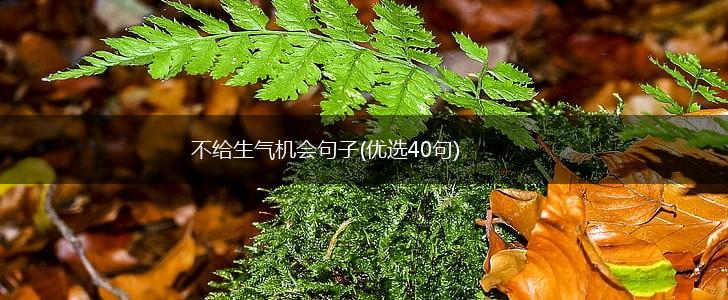不给生气机会句子(优选40句),第1张