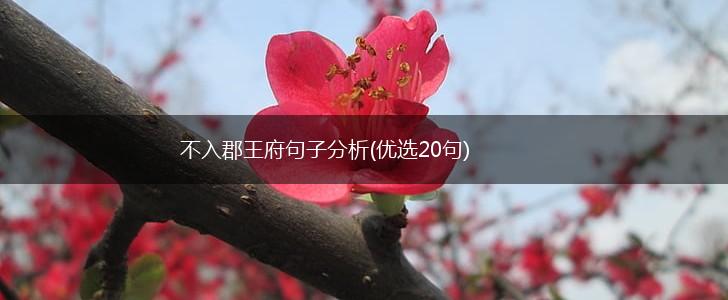 不入郡王府句子分析(优选20句),第1张