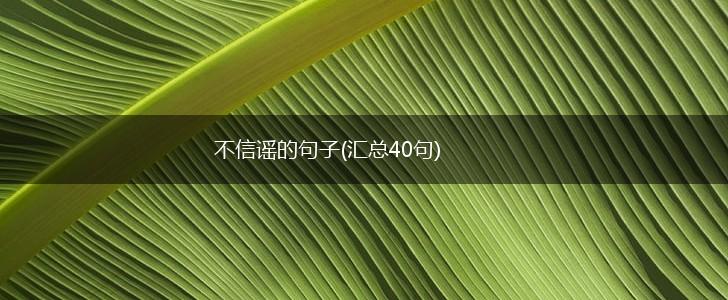 不信谣的句子(汇总40句),第1张