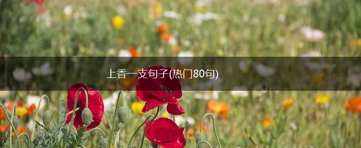 上香一支句子(热门80句),第1张