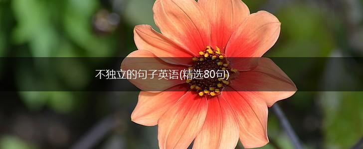 不独立的句子英语(精选80句),第1张