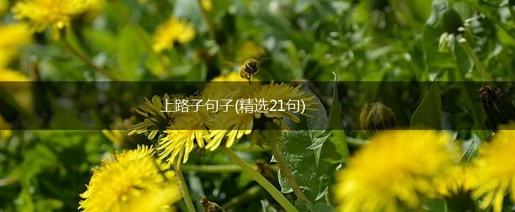 上路子句子(精选21句),第1张