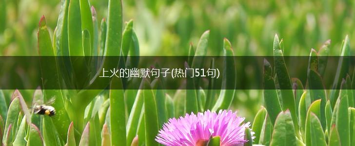 上火的幽默句子(热门51句),第1张