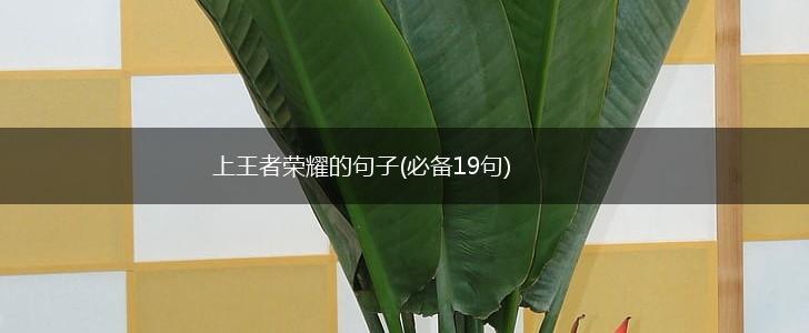 上王者荣耀的句子(必备19句),第1张
