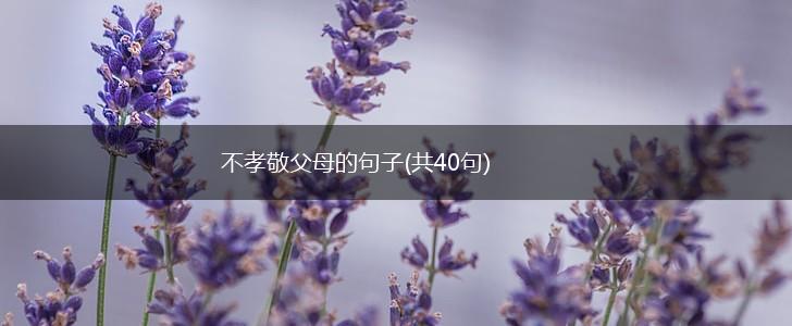 不孝敬父母的句子(共40句),第1张