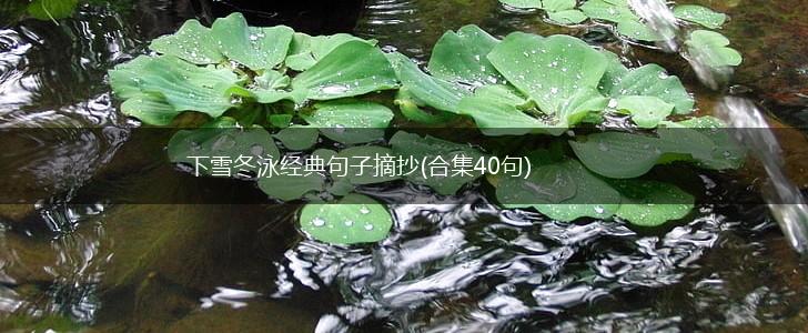 下雪冬泳经典句子摘抄(合集40句),第1张