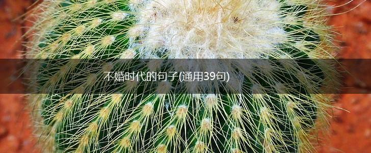 不婚时代的句子(通用39句),第1张