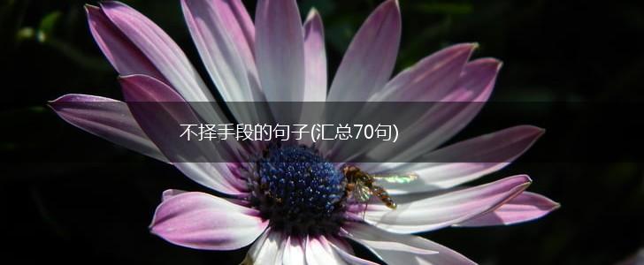 不择手段的句子(汇总70句),第1张