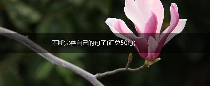 不断完善自己的句子(汇总50句),第1张