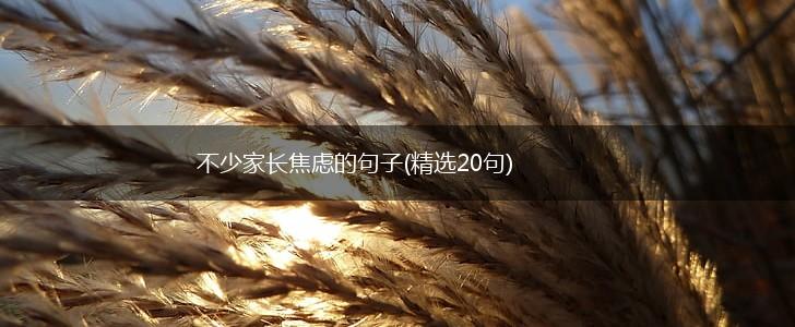 不少家长焦虑的句子(精选20句),第1张