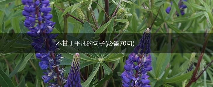 不甘于平凡的句子(必备70句),第1张