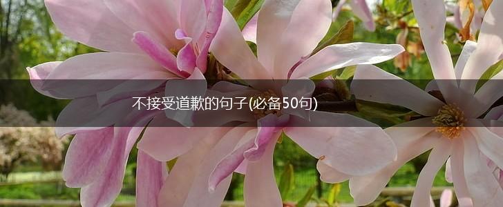 不接受道歉的句子(必备50句),第1张